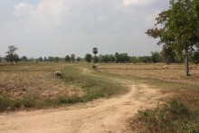 Est - frontière cambodgienne